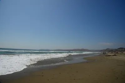 DSC_2528 (Large).JPG